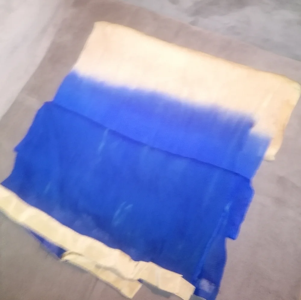 Blue and Gold Trim Ombré Scarf/Dupatta
